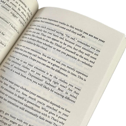 Master Your Emotions English Original Novel By Thibaut Meurisse Overcome Negativity And Better Manage Your Feelings Book